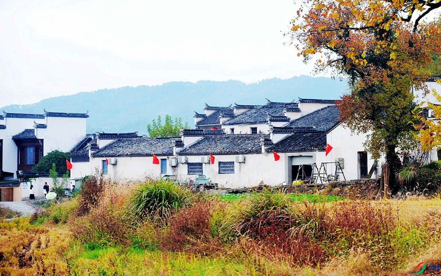 192 (1)_����.jpg