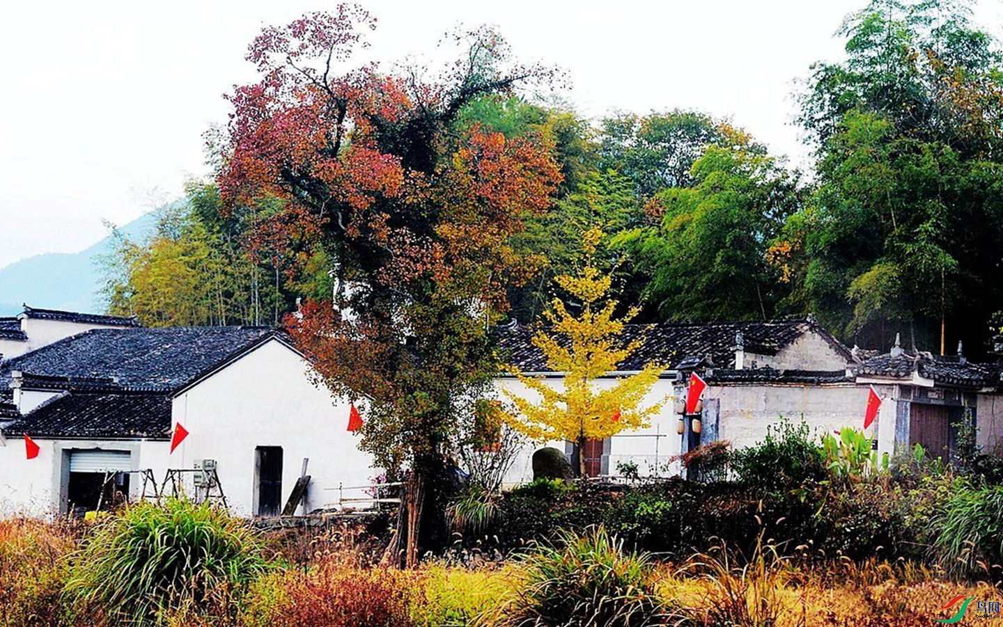 192 (4)_����.jpg