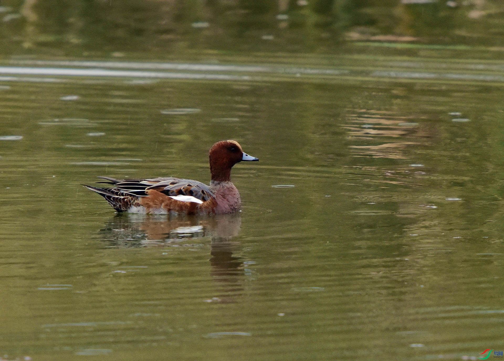 D8I_2468.jpg