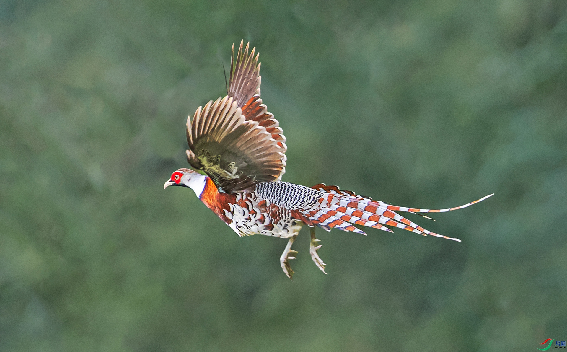A99I6222-1s.jpg