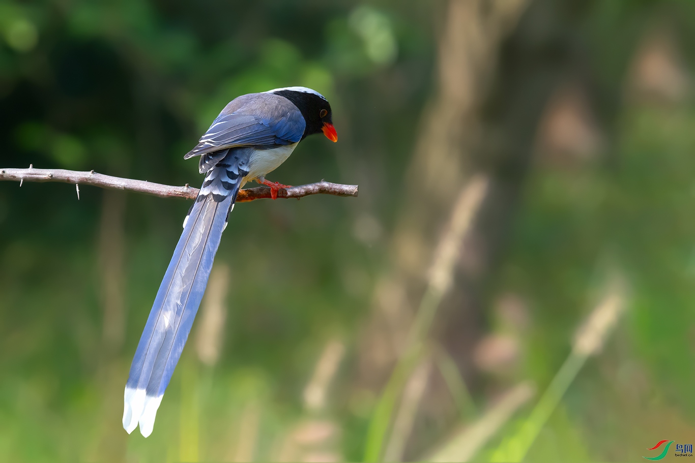 DSC_5161_DxOa.jpg