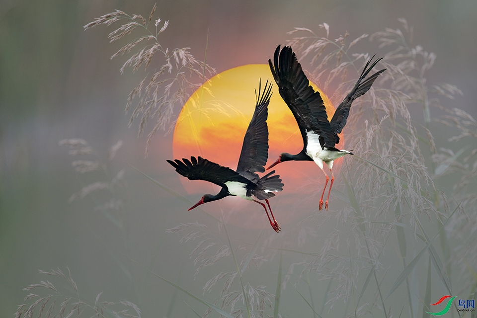 DSC_7112 ����.jpg