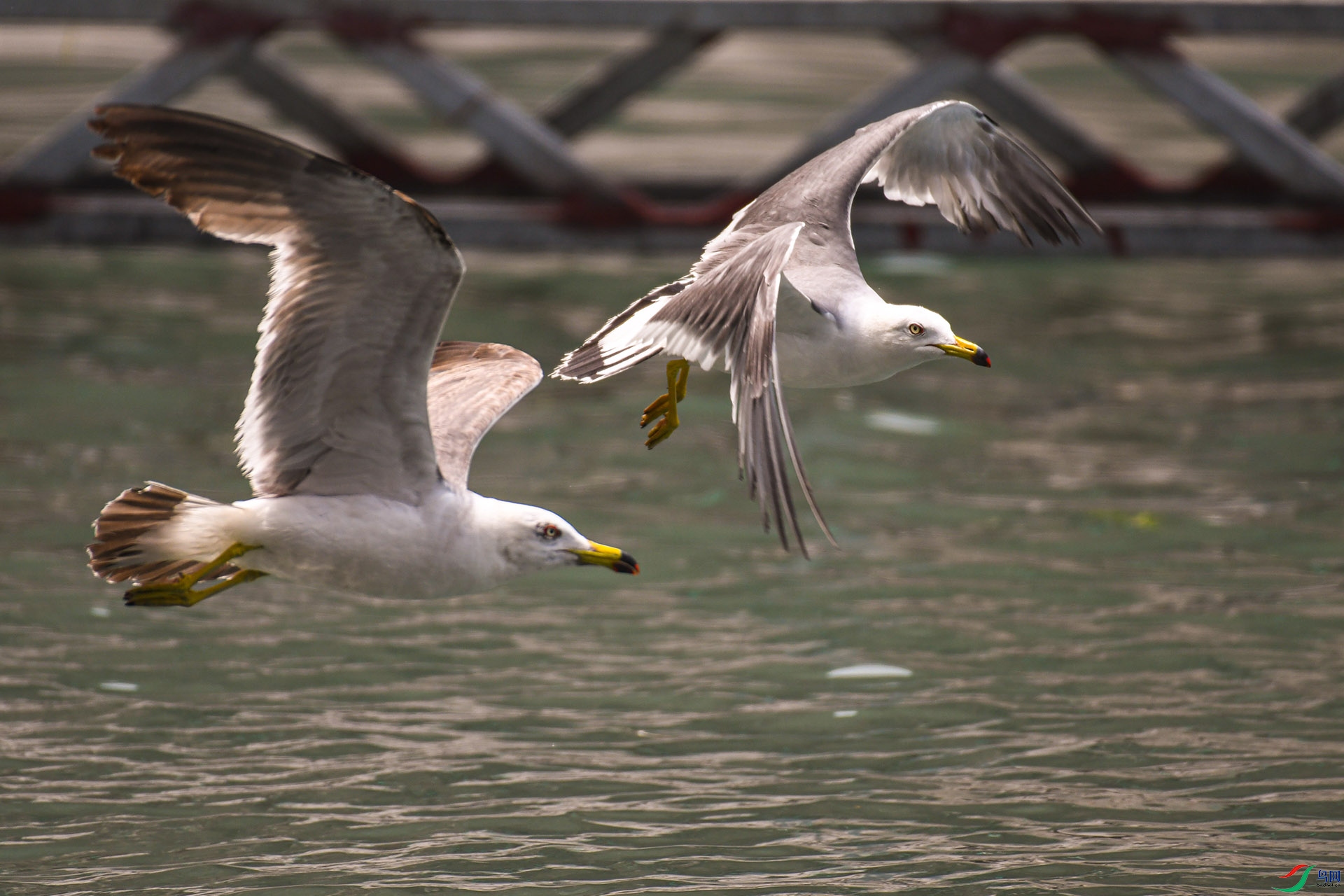 DSC_0887��βŸ.jpg