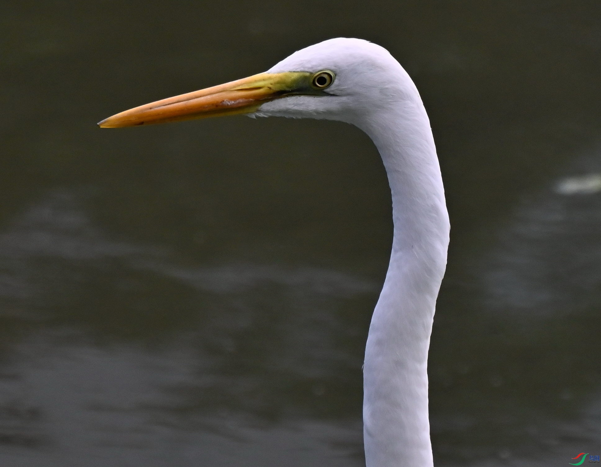DSC_0153.jpg