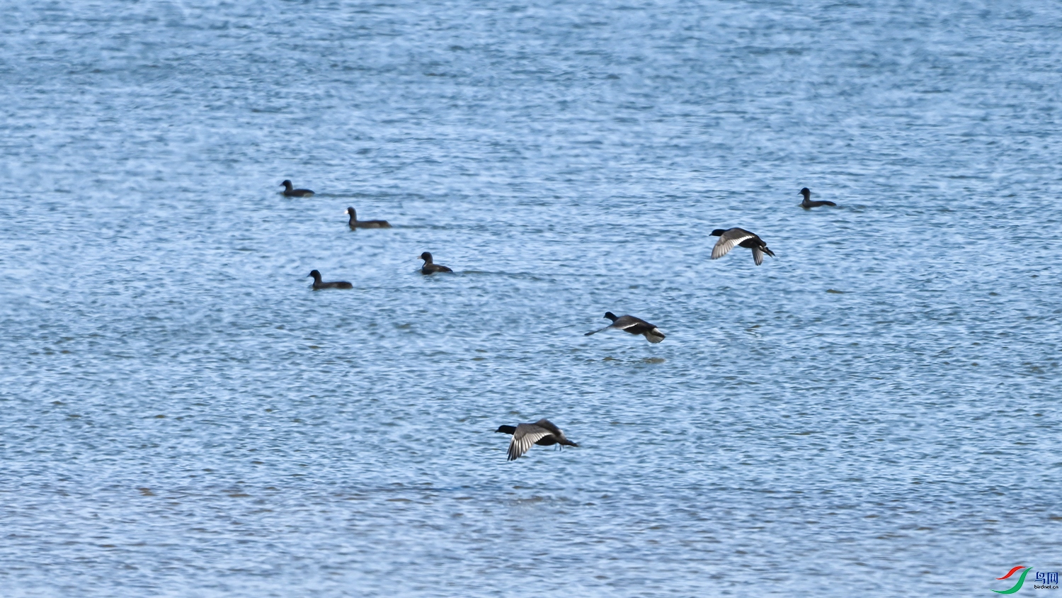 DSC_7814.jpg
