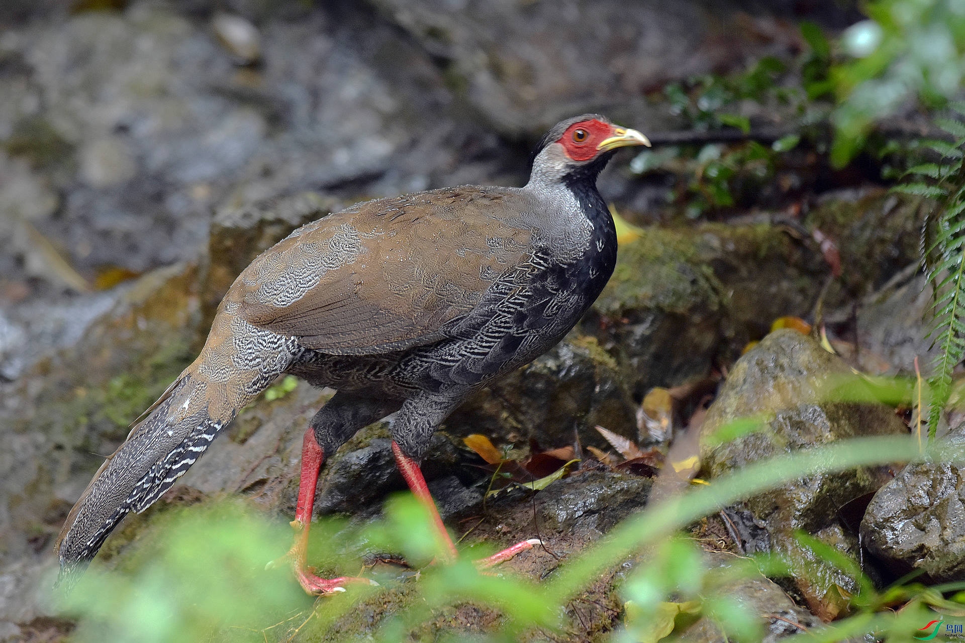 D72_5055.jpg