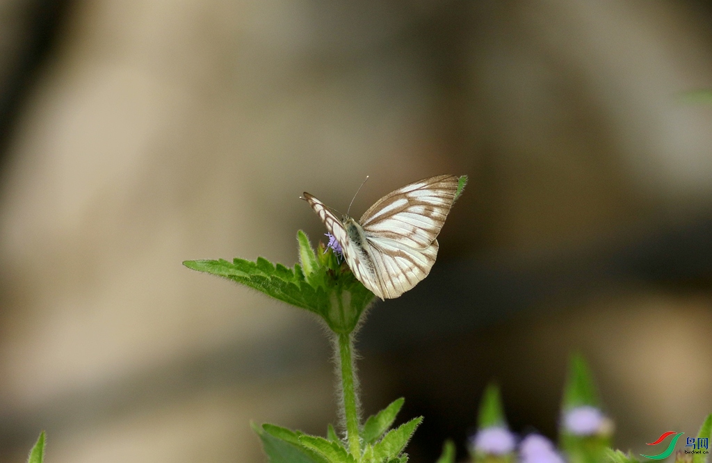367A6545_����.jpg