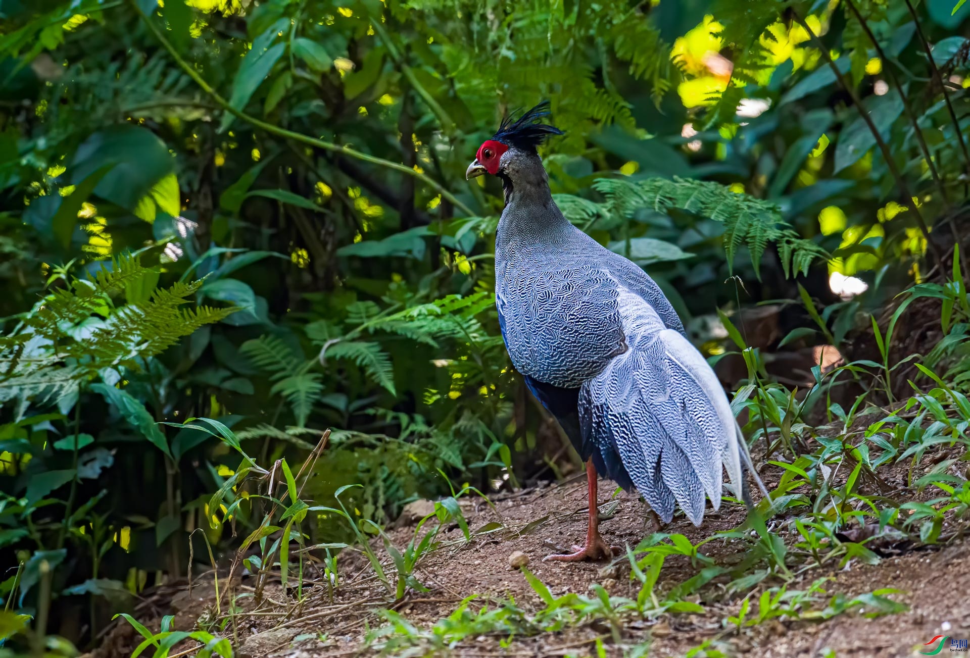 DSC_6166.jpg