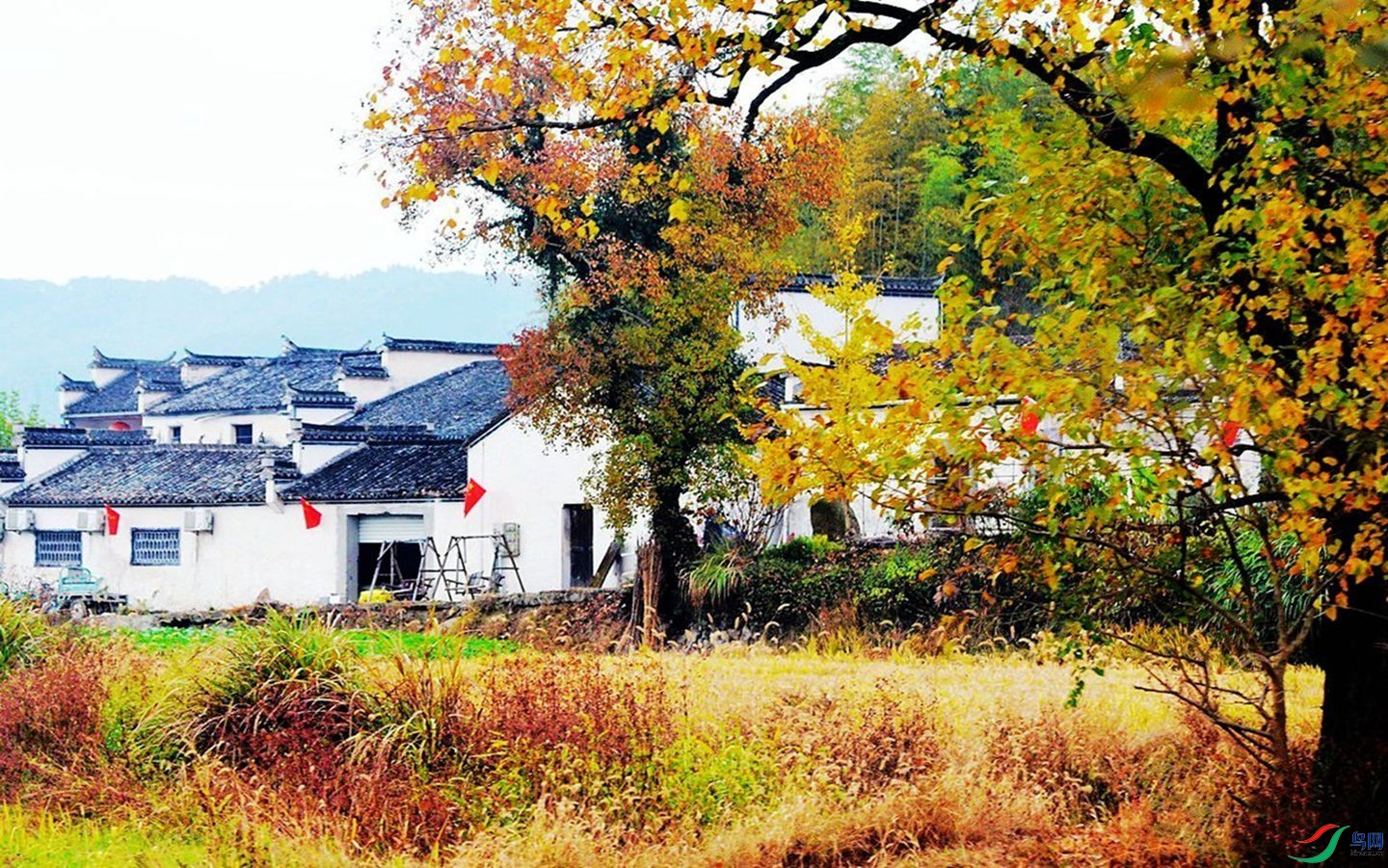 192 (3)_����.jpg