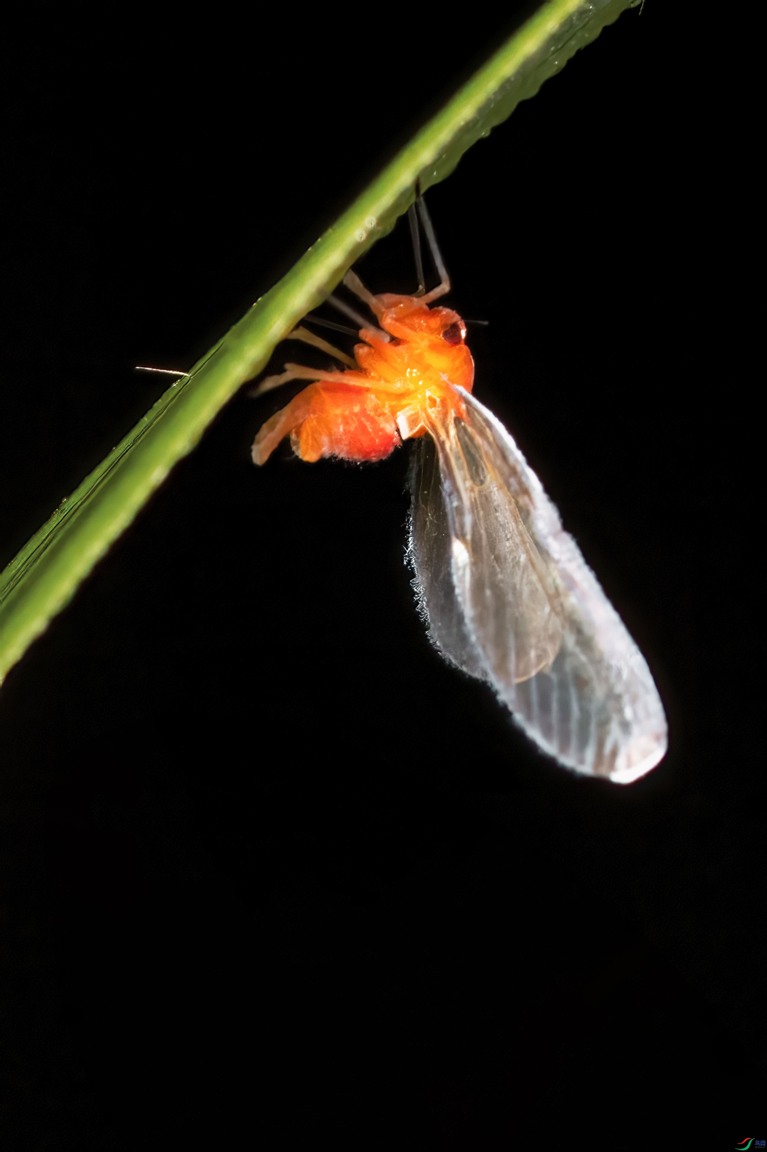 DSC_7561-1.jpg
