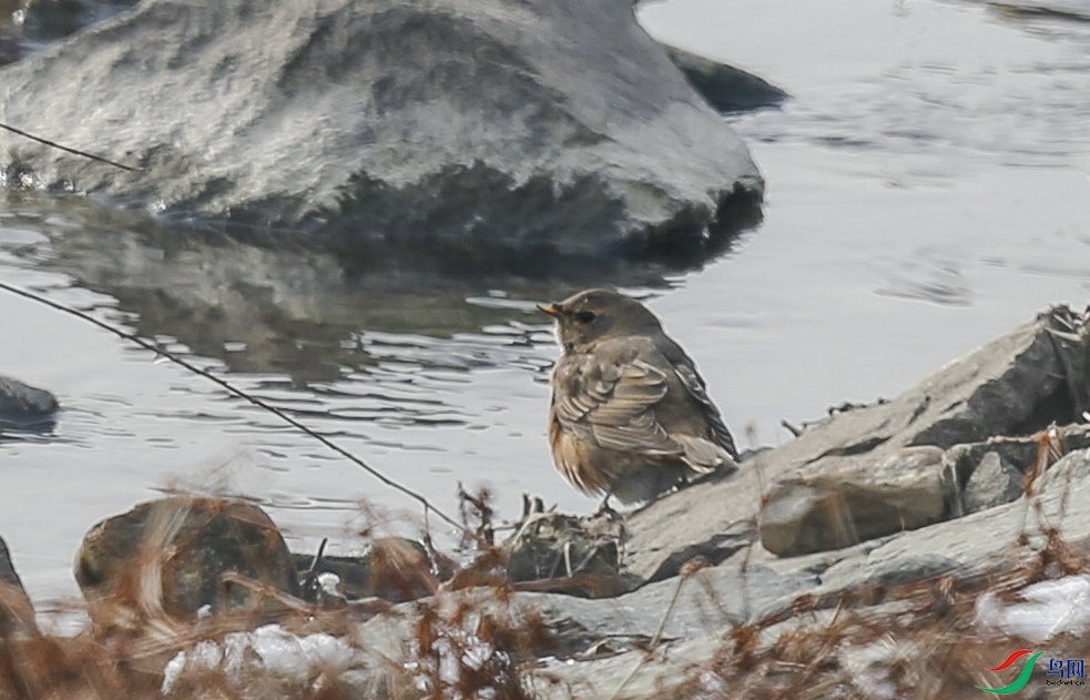 ���� (4)����.jpg