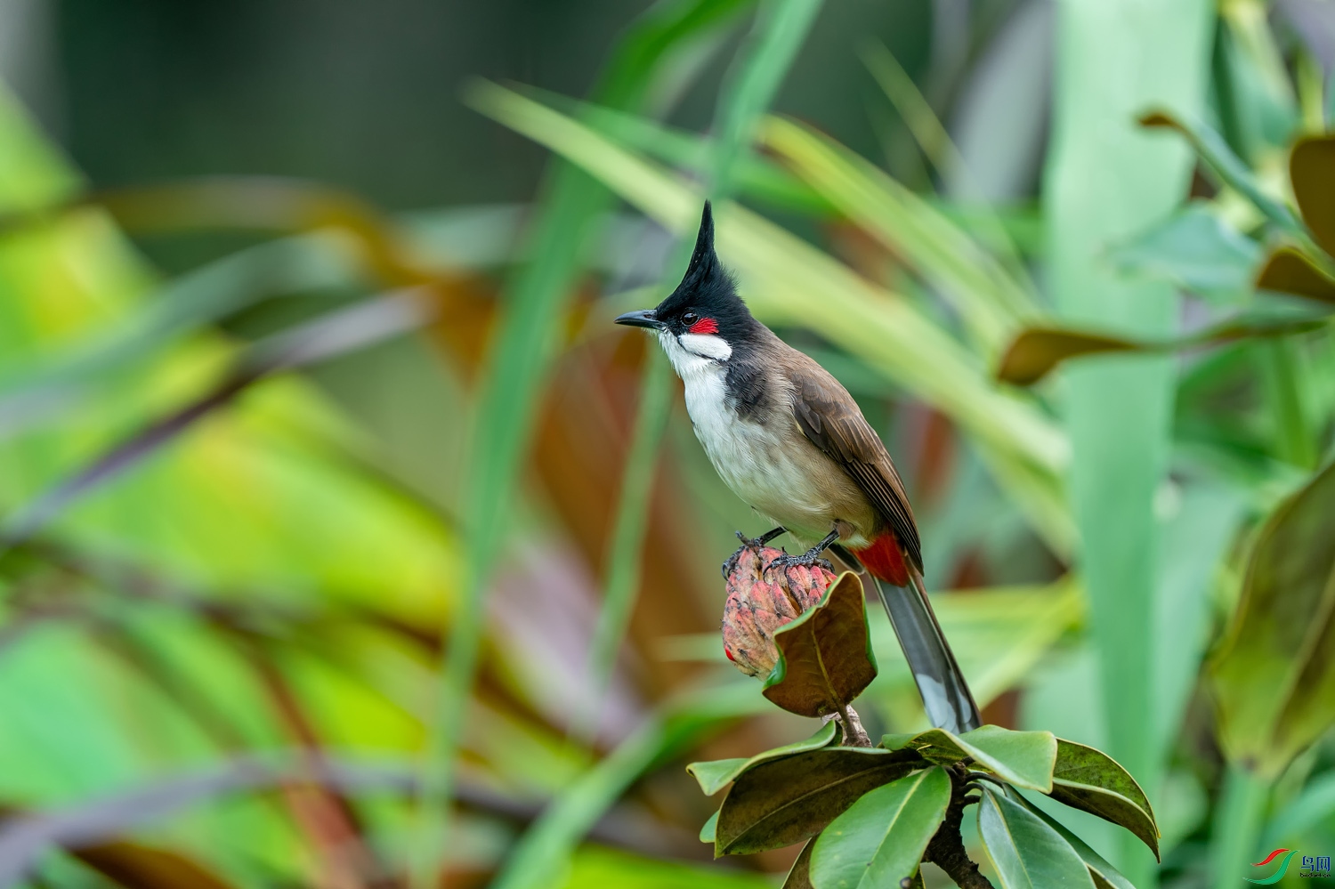A9D04999a.jpg
