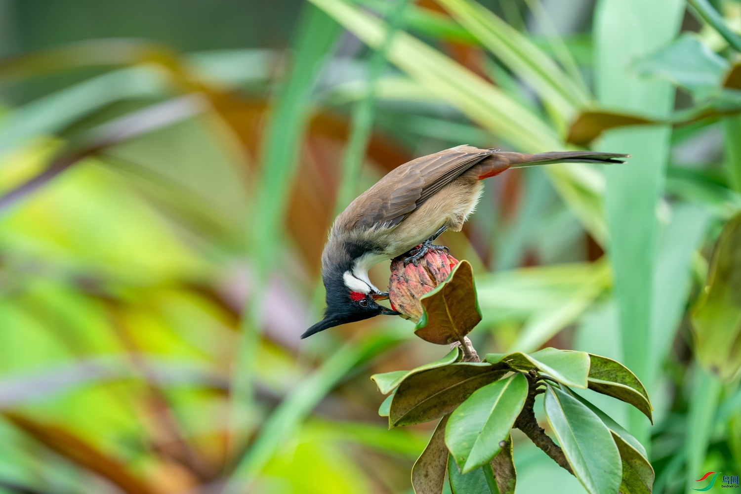 A9D04978a.jpg
