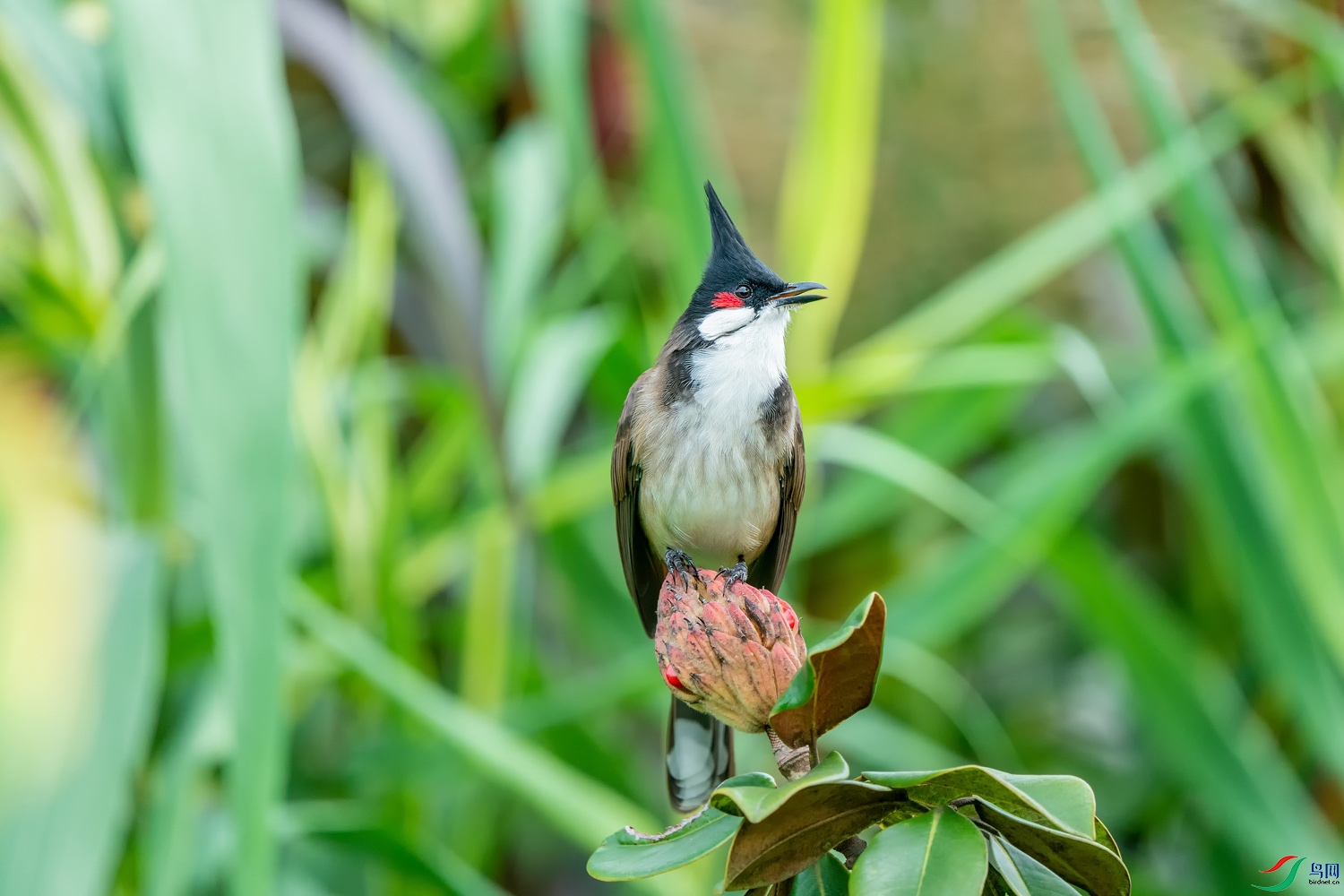 A9D05040a.jpg