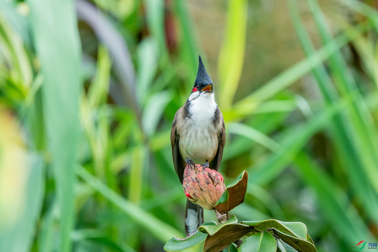 A9D05043a.jpg