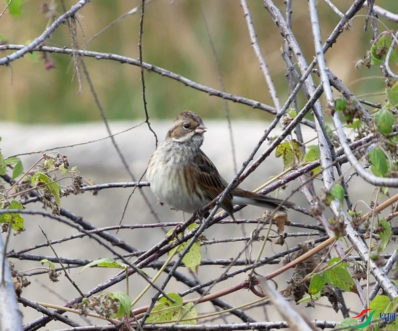 P7480505 - ����.JPG