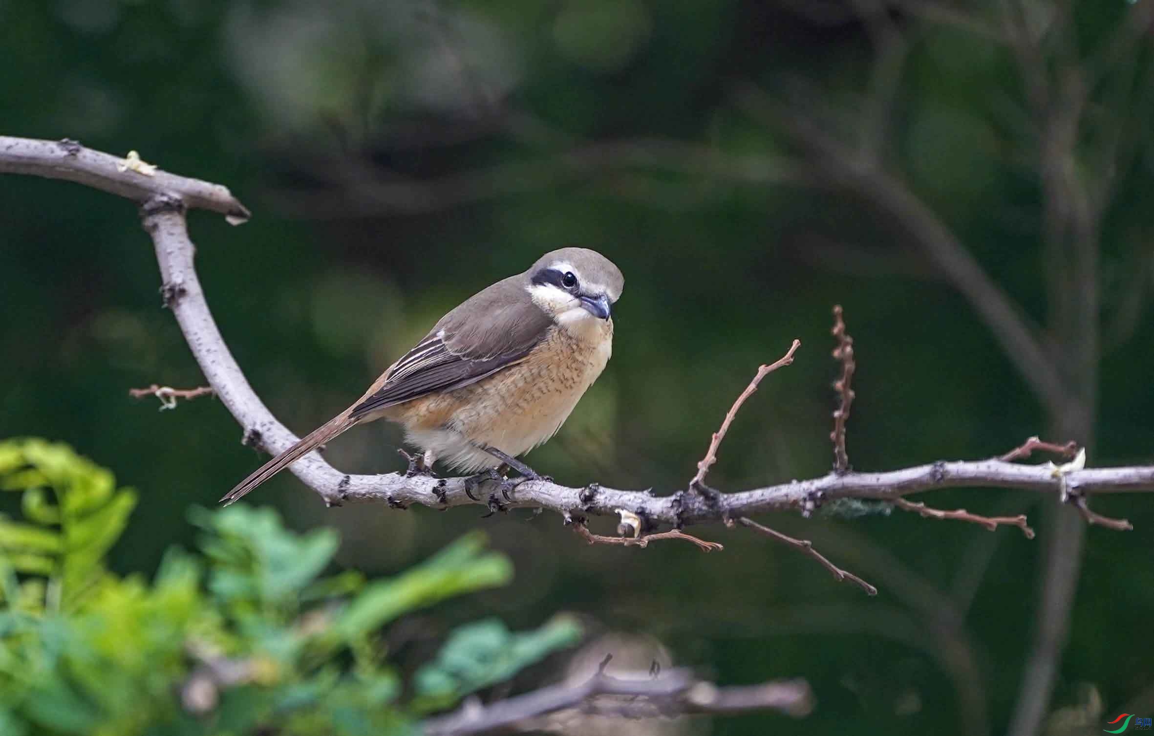 DSC01055-3 - ���� (2).jpg