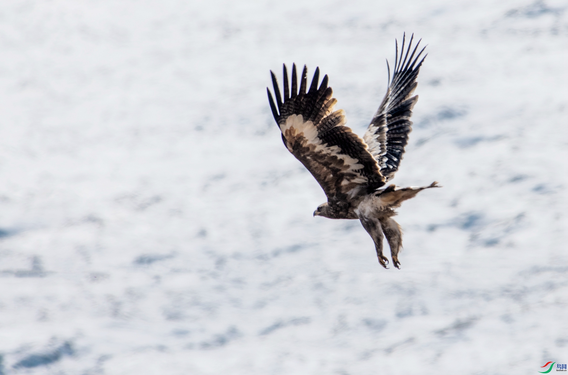 _DSC8071_����.jpg