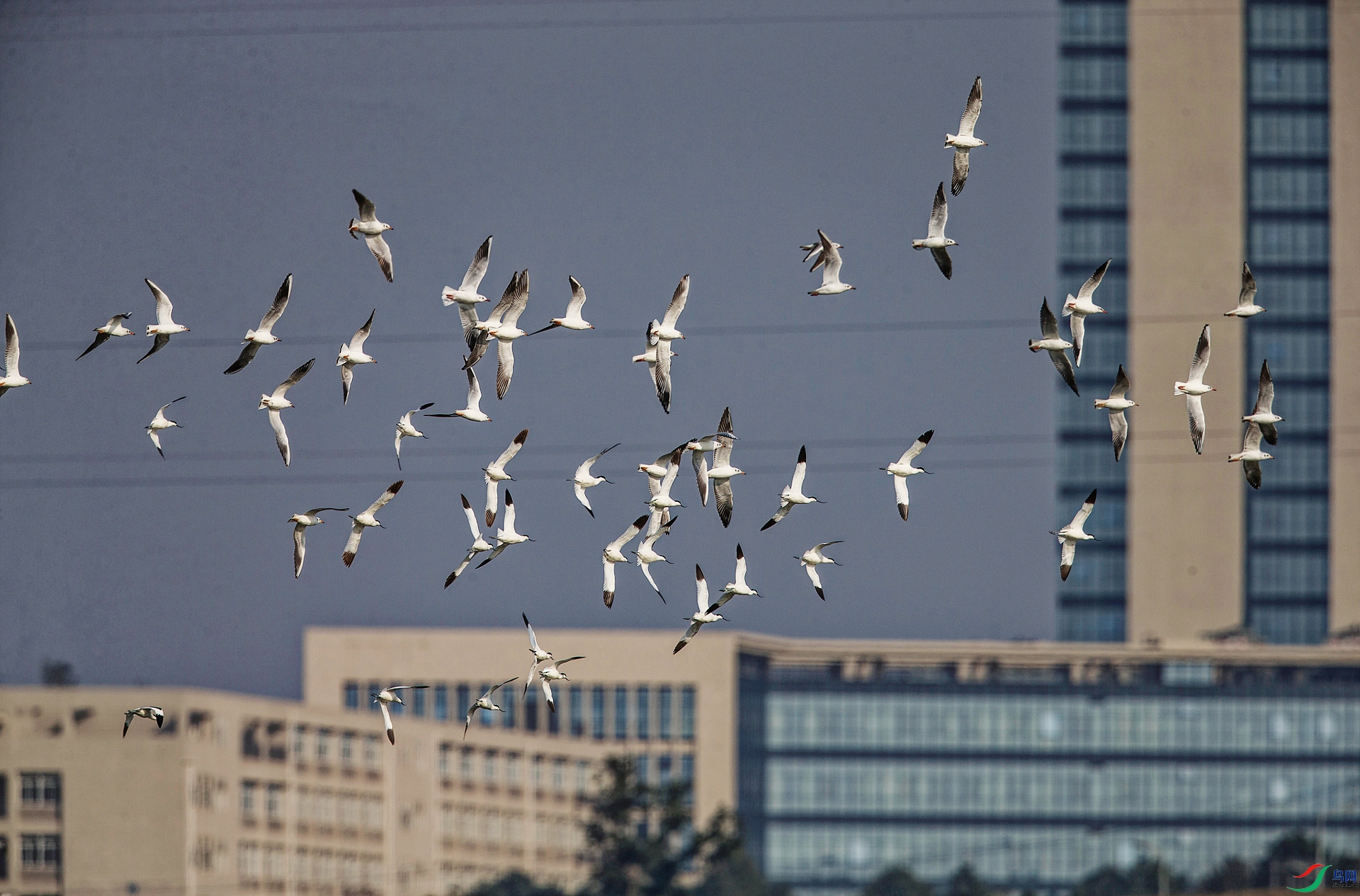 A97Q4573-_DxO.jpg