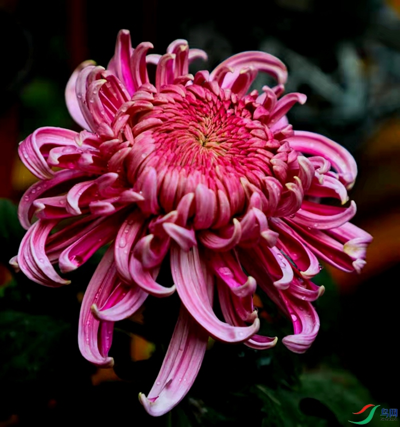 027A0513_����.jpg