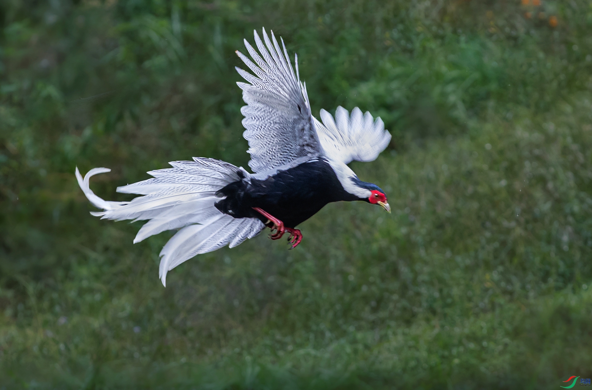 A99I6687-1sa.jpg