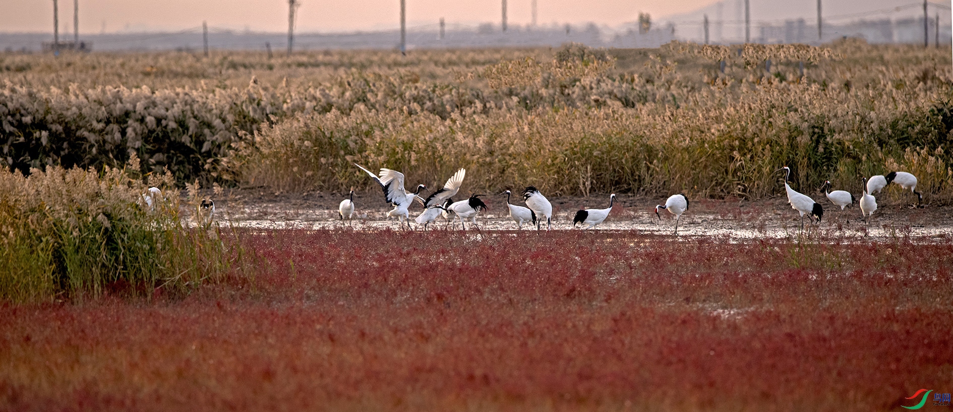DSC_2193h.jpg