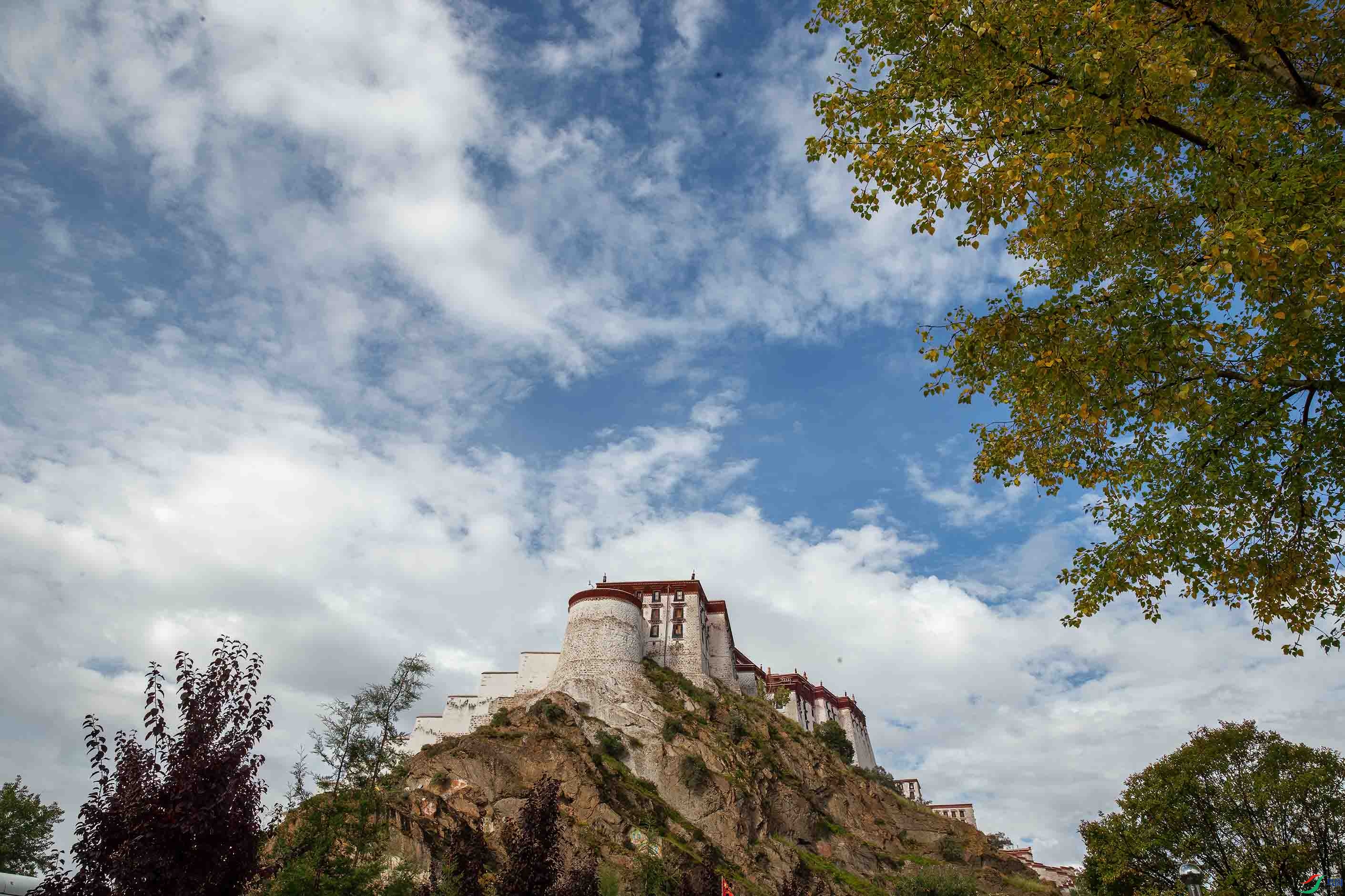 _I6W1897�������� .jpg