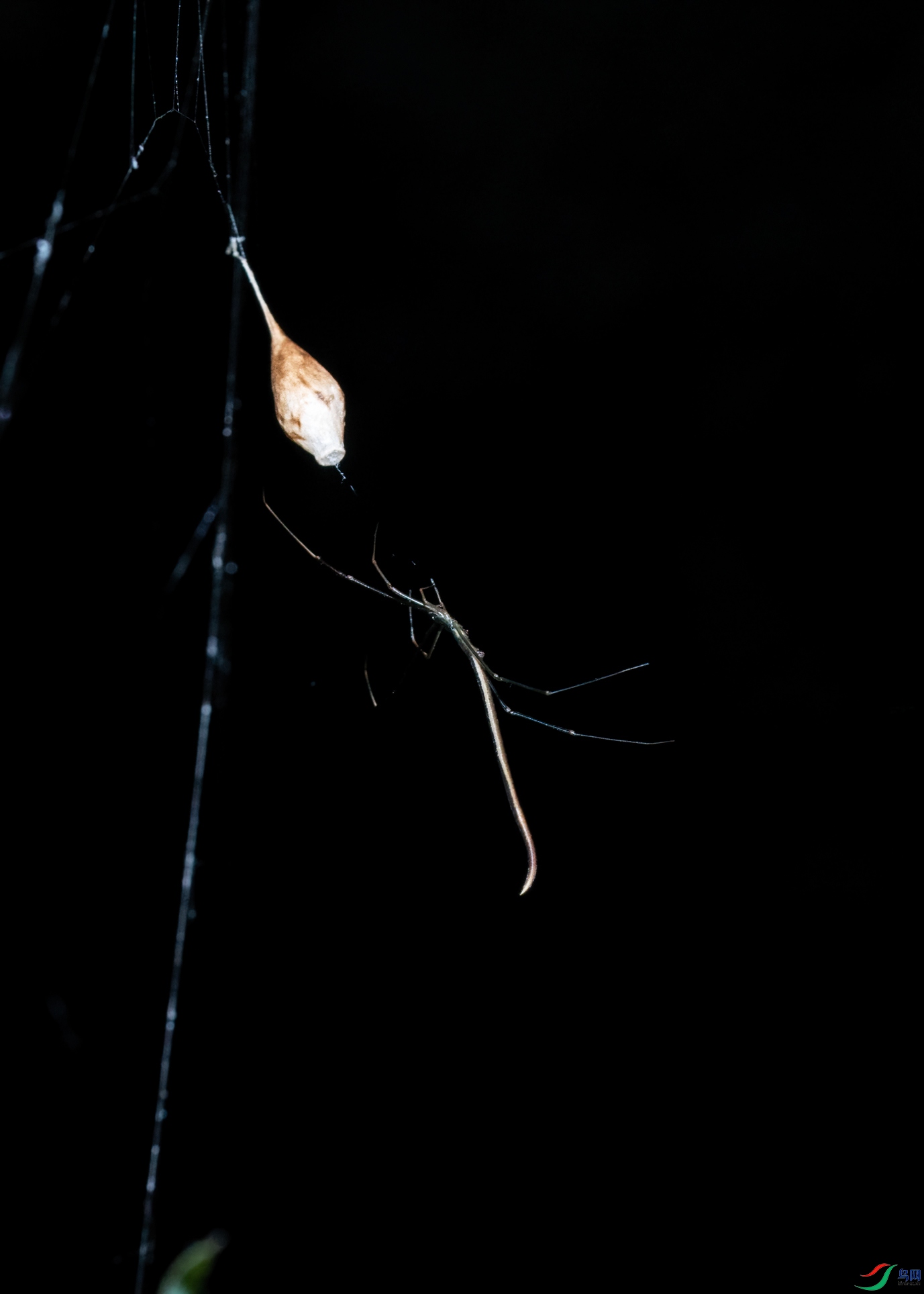 DSC_6270-1.jpg