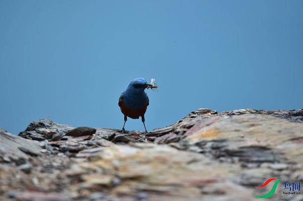 File0000051412.jpg