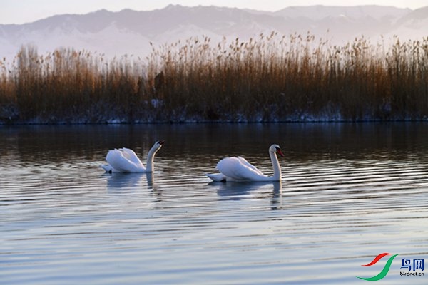 File0000079419.jpg