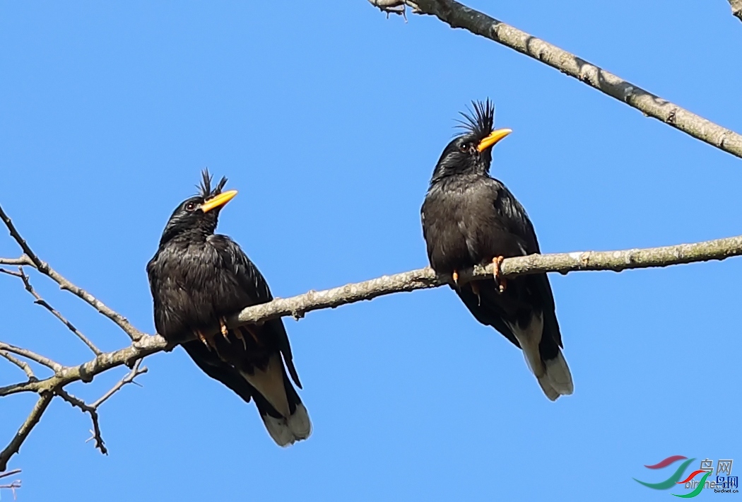 ����  ��ʦ����������ʡ�º���徰����������ӯ����.jpg