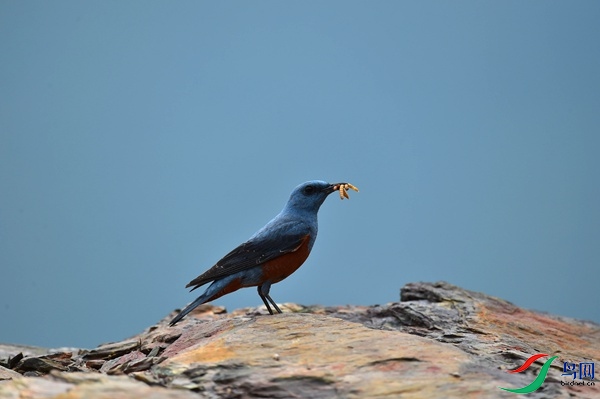 File0000051338.jpg