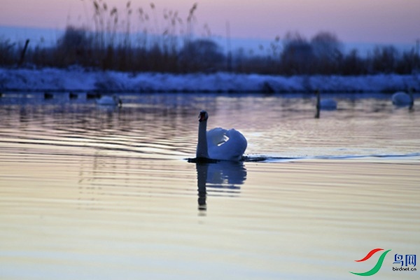 File0000079540.jpg