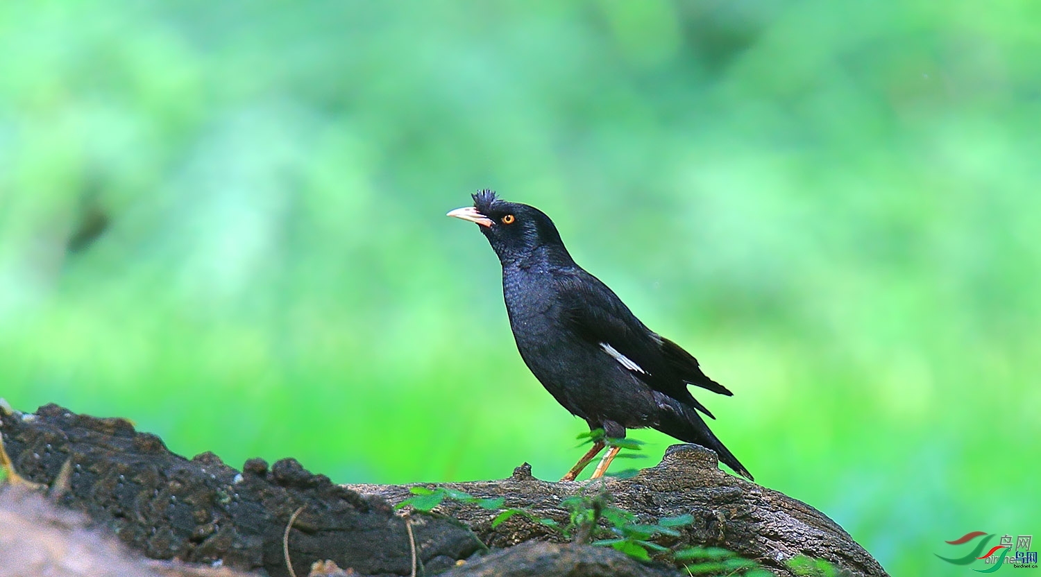 ����  ��ʦ�����ڱ�����.jpg