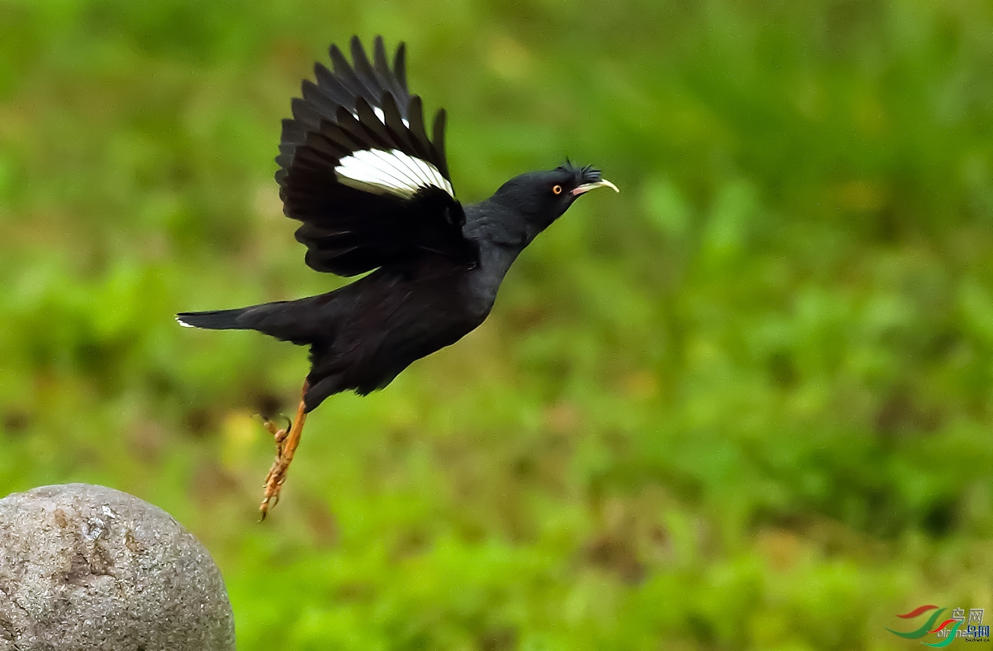 ȸ����Ӱ  ��ʦ�������Ϻ��б�ɽ��.jpg