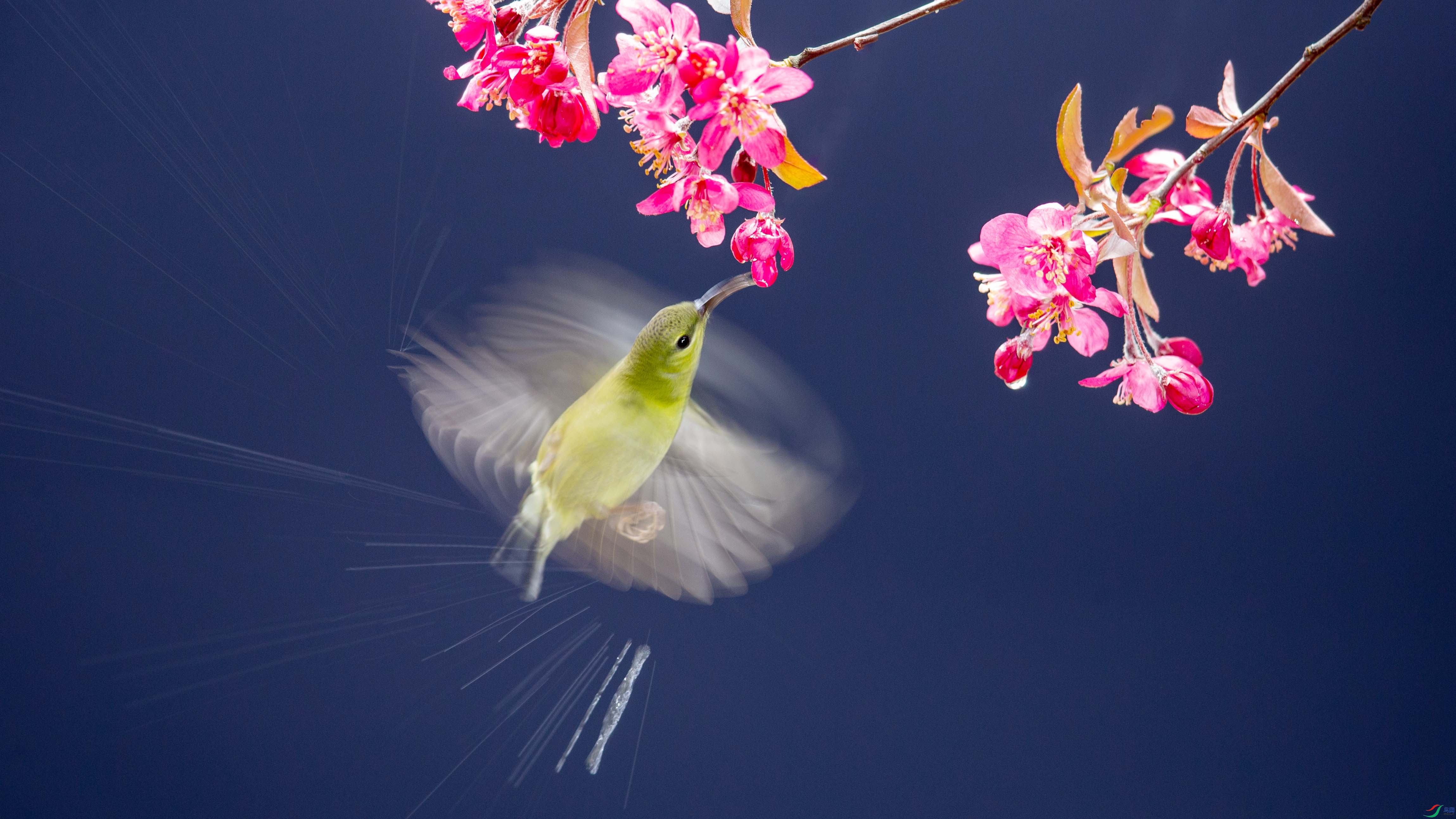 _R9W3040 ����.jpg