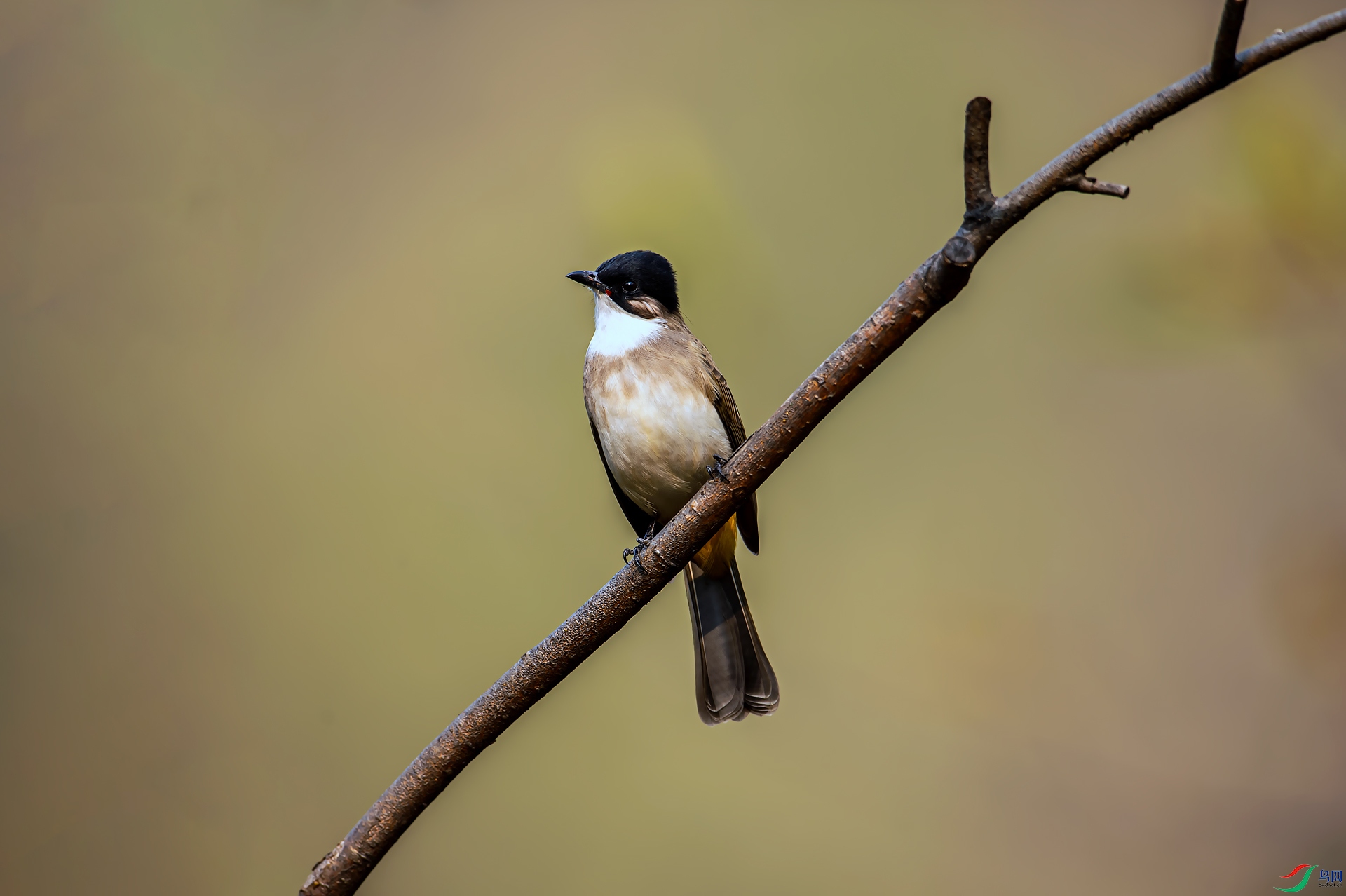 DSC_1603.jpg