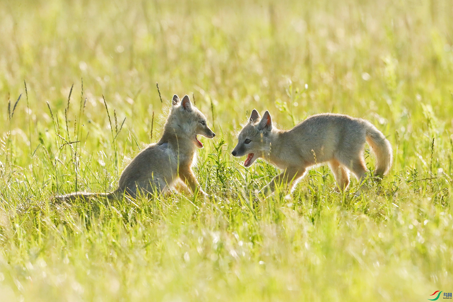 _I4I9401 (1)_����.jpg