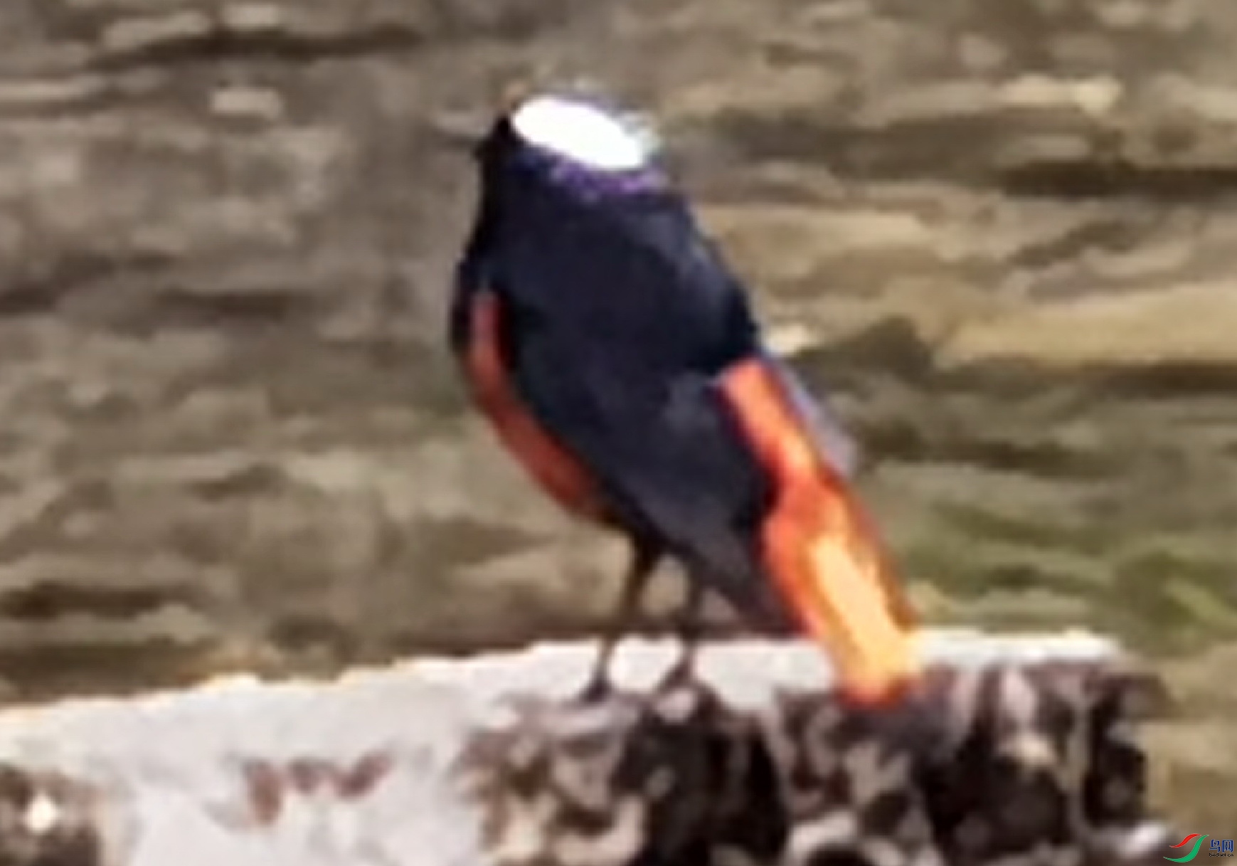 β��һ��һ�̵Ķ����ͻ��n�_һ��