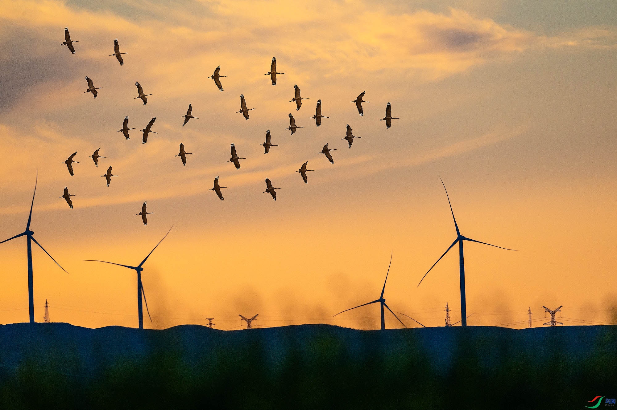 _DSC0780ae ����.jpg