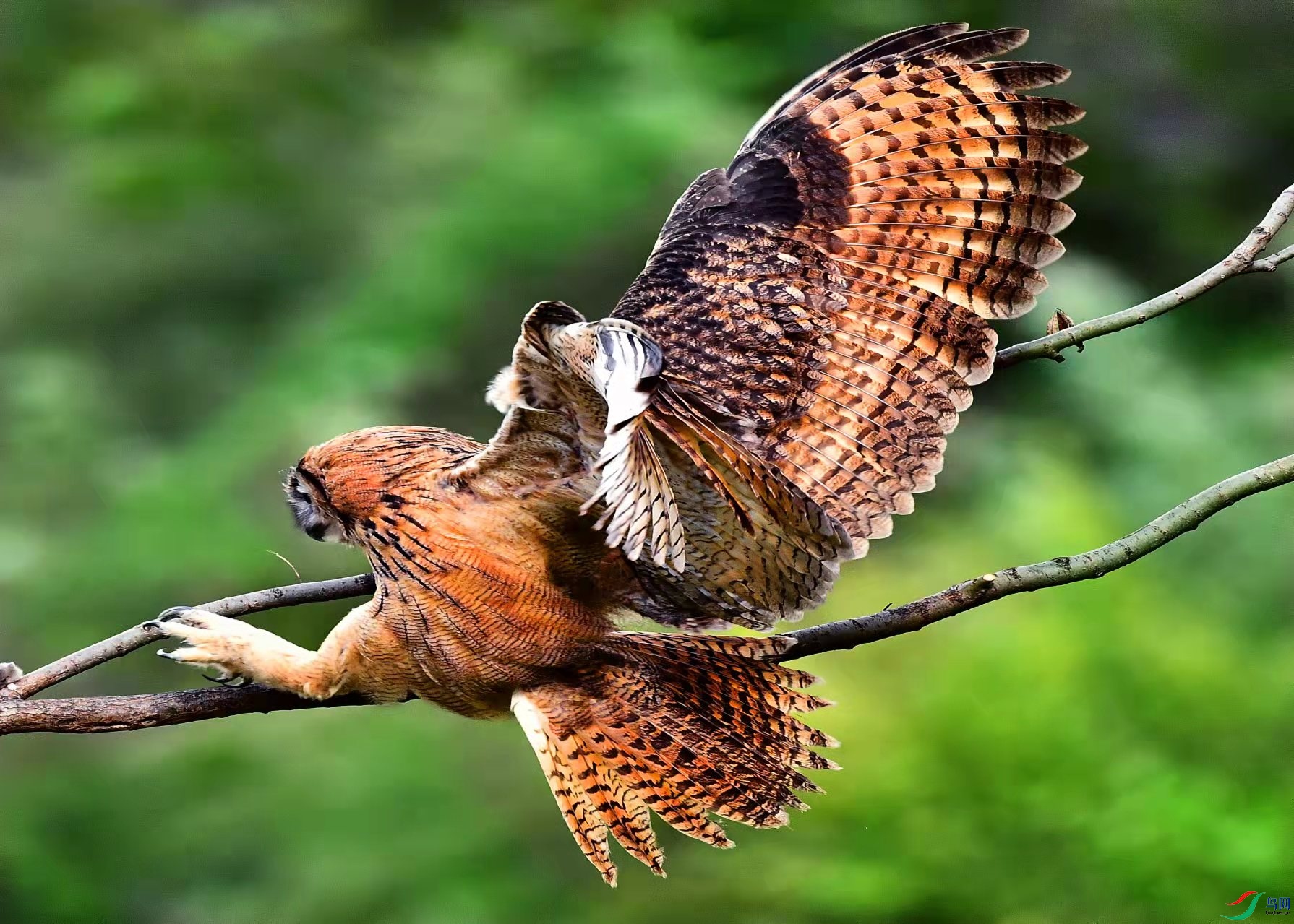 b4baa61061446a0739a5ae80601e3a8.jpg