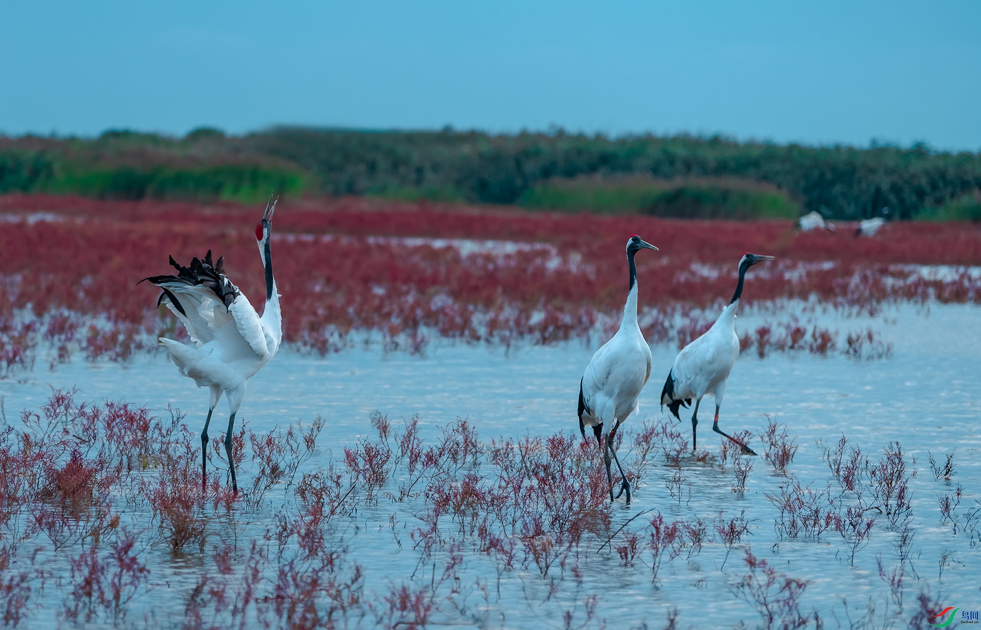 DSC_2877.jpg