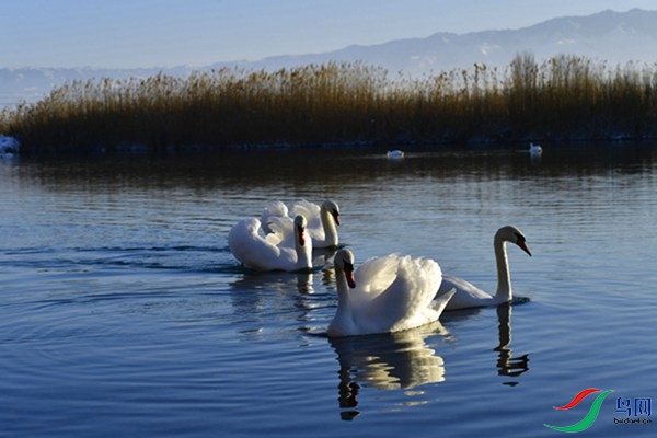 File0000079338.jpg