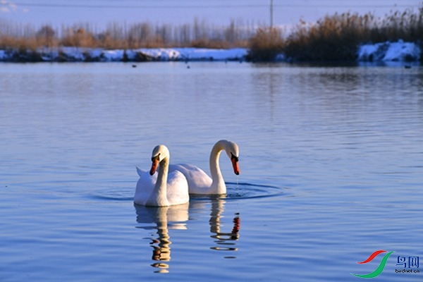 File0000079399.jpg