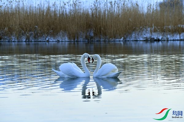 File0000079525.jpg