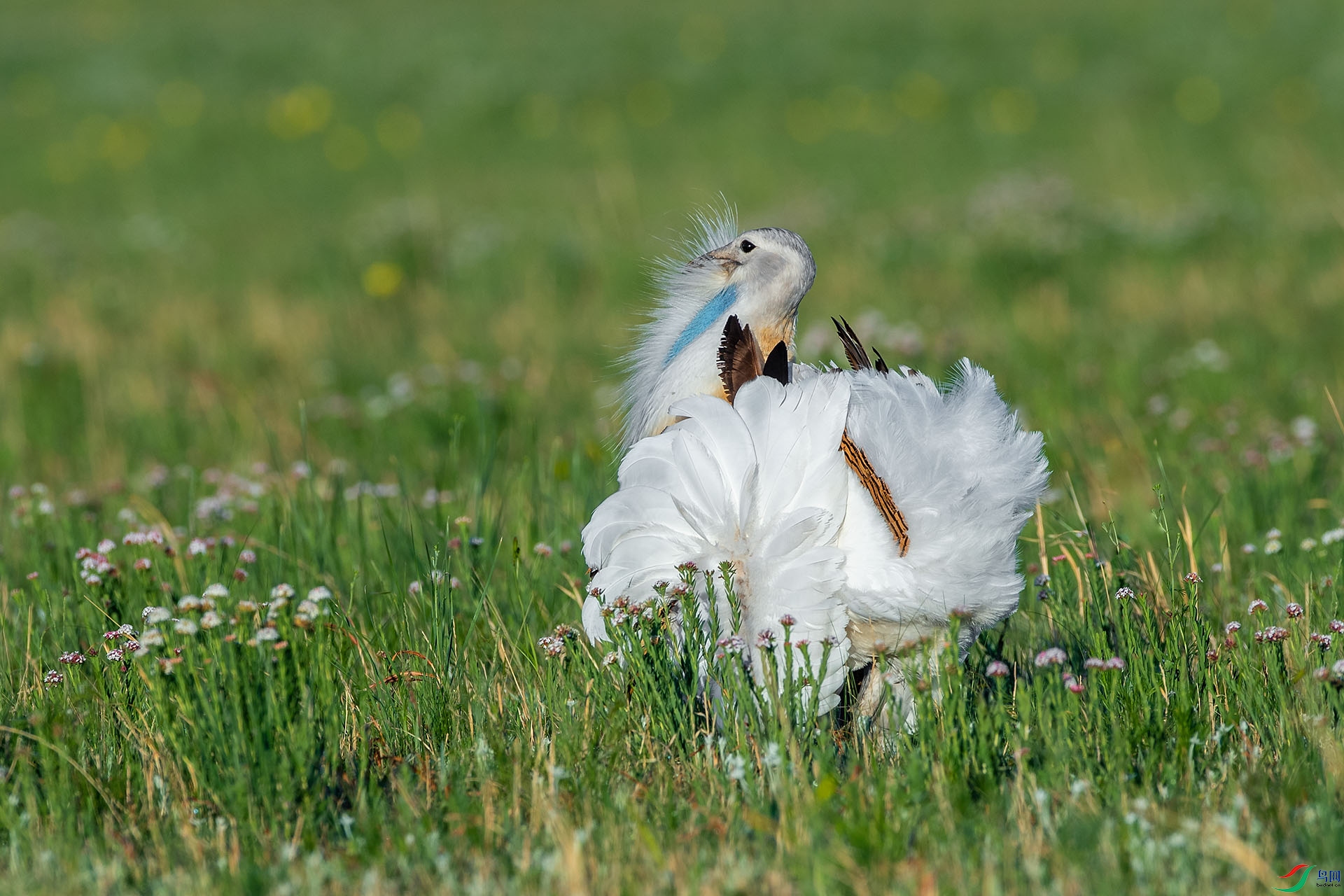 DSC_3231.jpg
