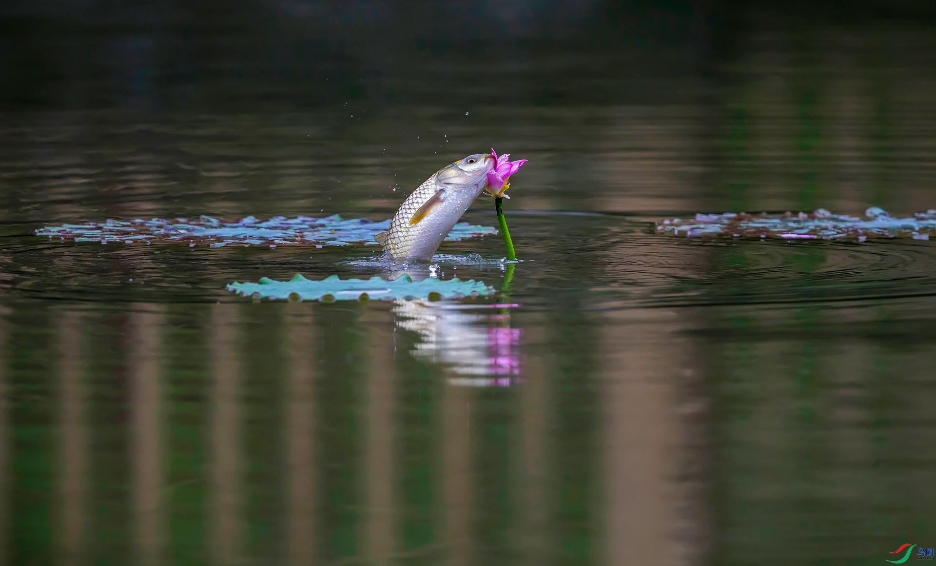 A97Q0204--1_DxO.jpg
