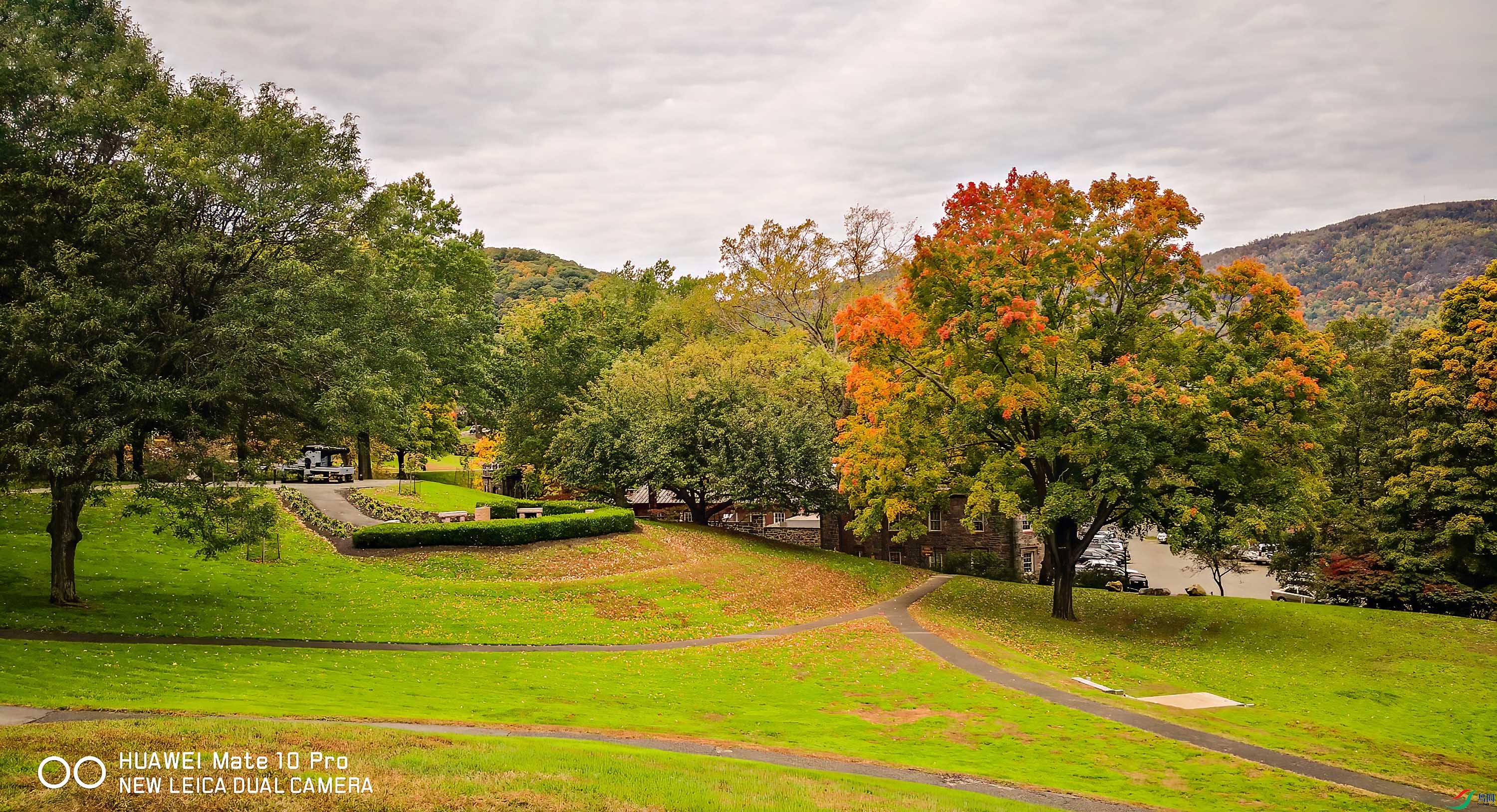 IMG_20181022_110701     ok.jpg