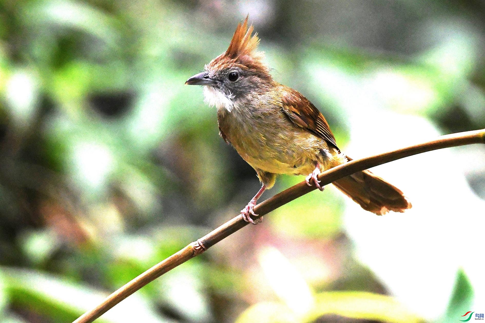 NIKON D5001203_����.jpg
