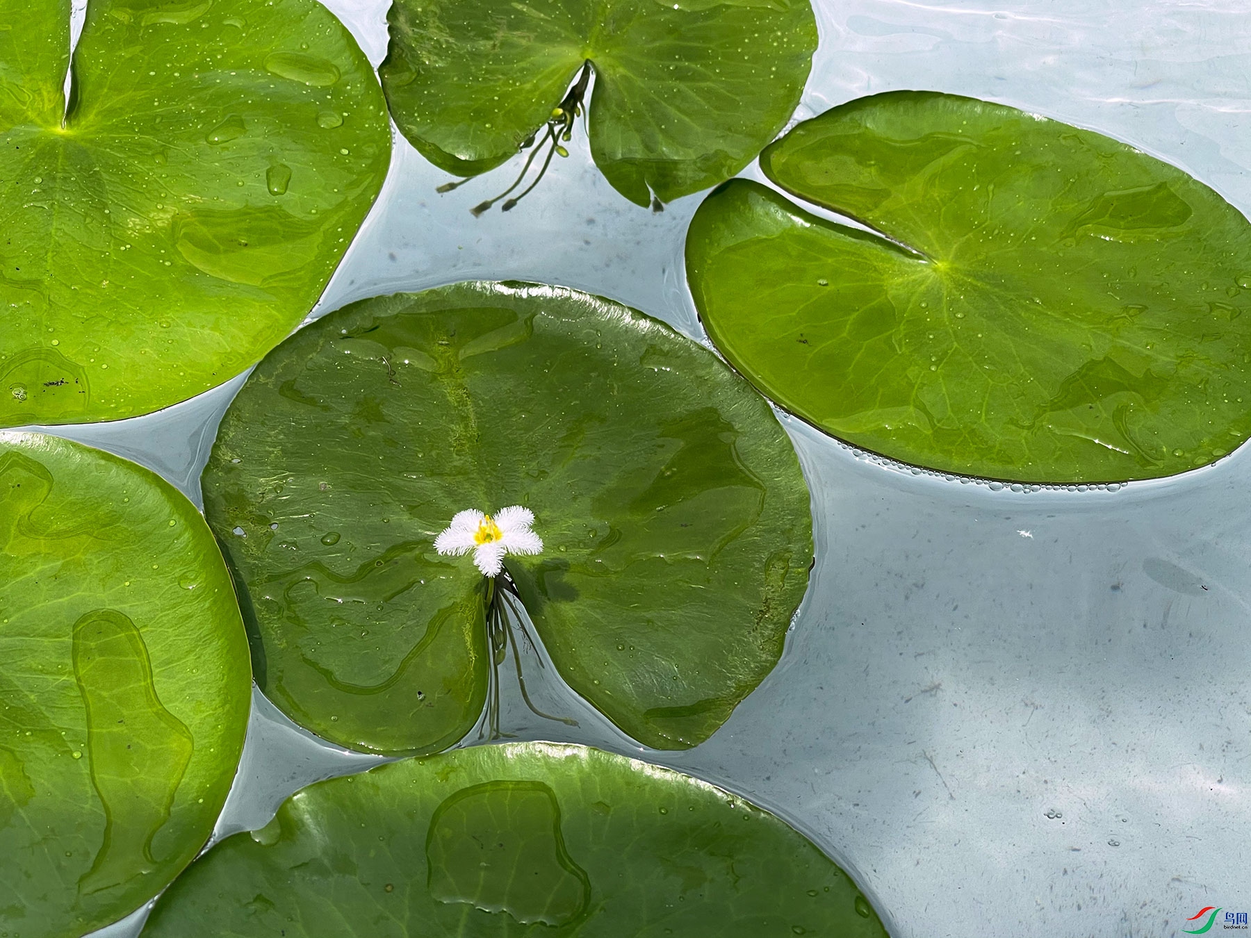 һҶ��������